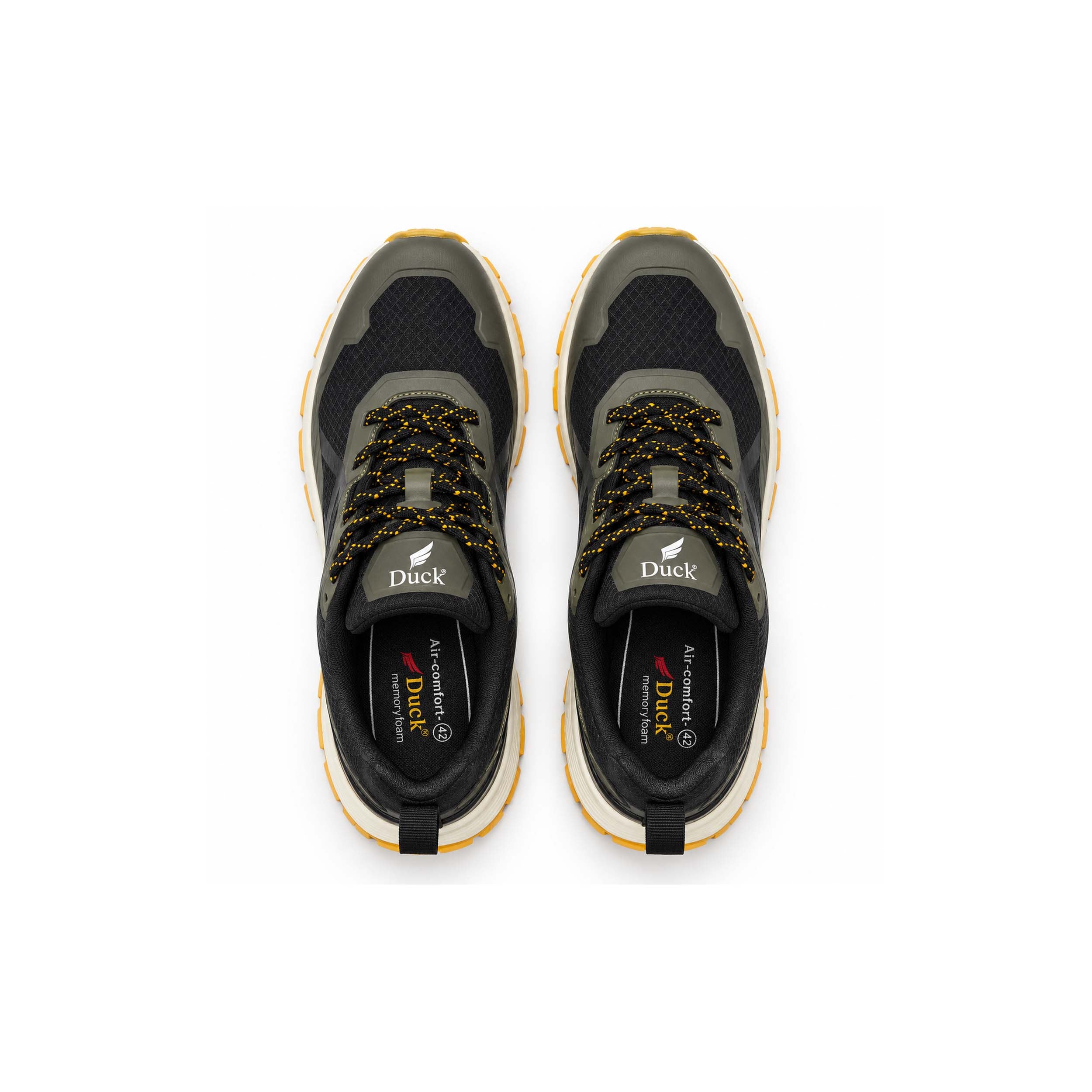 Olive 2