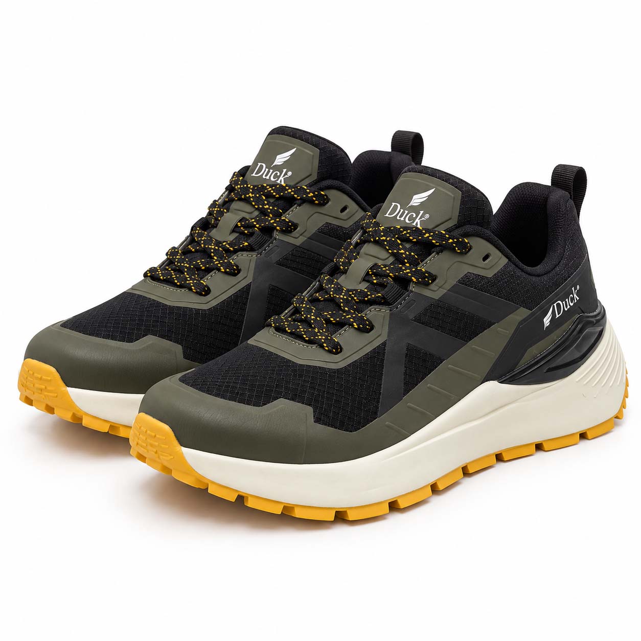 Olive 1