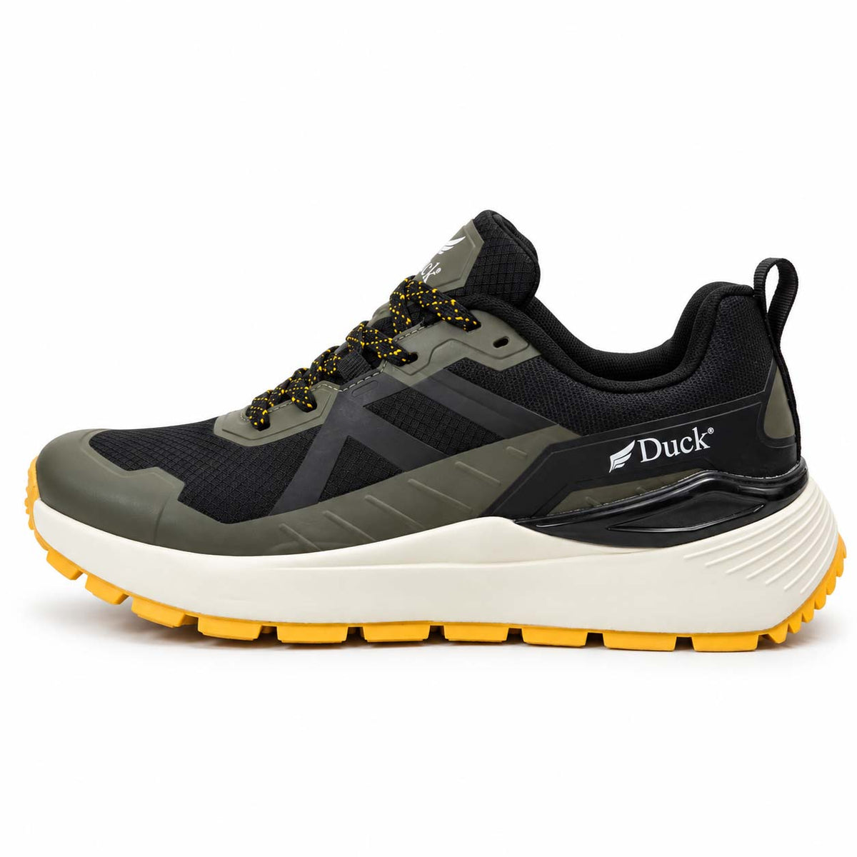 Olive 3