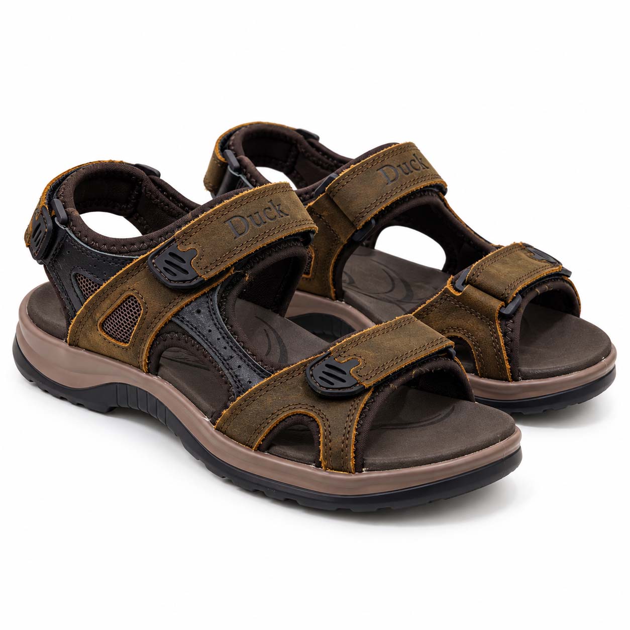 Brown 1
