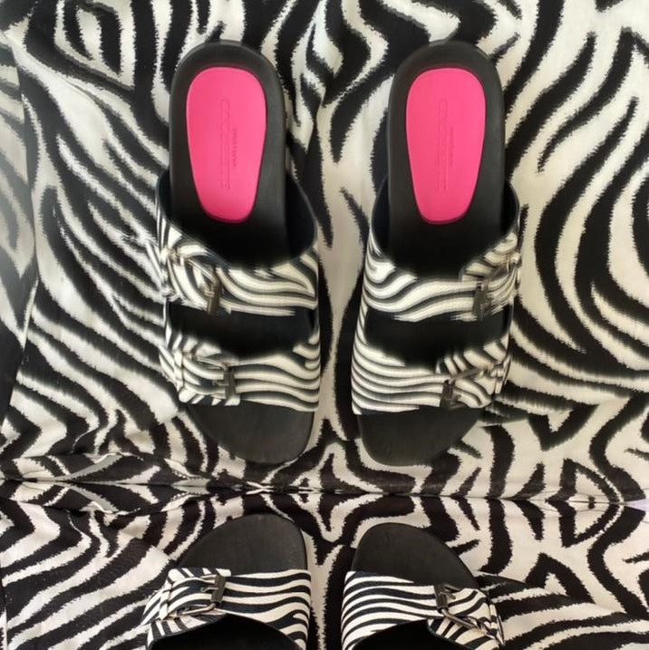 Isabel Slides in Wild Zebra